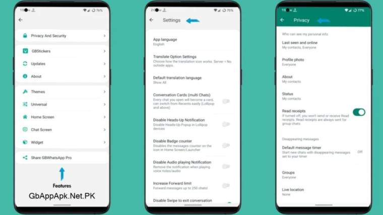 GB WhatsApp Settings